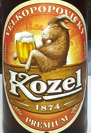 19773