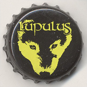 31368